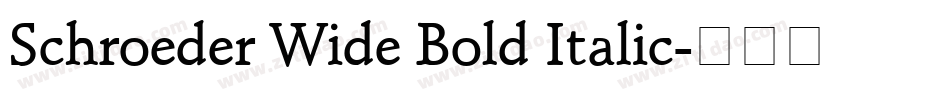 Schroeder Wide Bold Italic字体转换